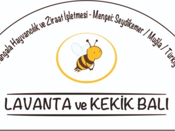 LAVANTA/KEKİK Balı